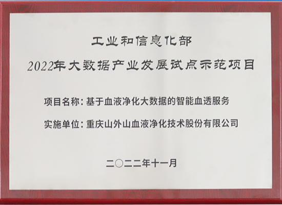 行業(yè)唯一！山外山公司入選“2022年大數(shù)據(jù)產(chǎn)業(yè)發(fā)展試點示范項目”